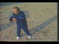 Wei ShuRen：Yang Style Taji - LaoLiuLu Demo