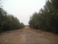 (uploaded by thealex)&nbsp;Fotopro mount at CC