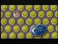 Aimee Mann - Mr Grinch