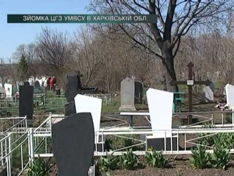 Смотреть видео