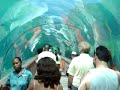 Aquarium Tunnel - Atlantis Hotel - Bahamas