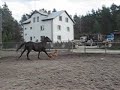 Skok :D Skok :D