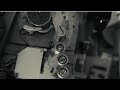 Rūta - Laimės paukštė (Muzikos akademija 2)