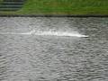 videos de ETTI Saber mono1 second run