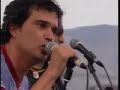 Los insectos- la trampa Los insectos- la trampa