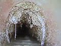 Hidden Horror: disgusting, broken sewage pipes