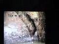 Hidden Horror: disgusting, broken sewage pipes