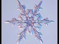 water ice crystal