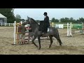 Sidesaddle Championships Poland High-jump 'puissance'