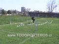videos de ENTRENAMIENTO DE ARQUEROS,GOALKEEPER TRAINING, 16