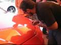 PINSTRIPING BY CUSTOM PAINT ON TIGRA