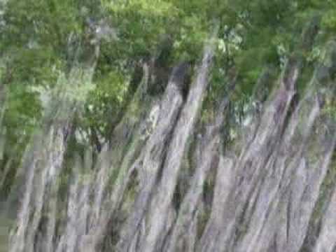 Cahokia Mounds