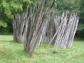 Cahokia Mounds