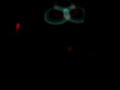 teledysk, klip, Paul van Dyk,- Castaway