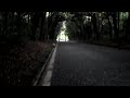 Meiji-Jingu de Tokyo
