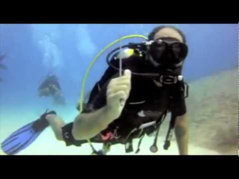 Plongée sous-marine Riviera Maya Mexique