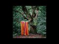 Video James Holden & The Animal Spirits - Each Moment Like The First Video James Holden & The Animal Spirits - Each Moment Like The First