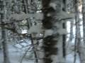 videos de Trop Beau Paysage