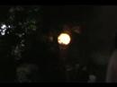 A Slice of Fright Fest \ A Slice of Fright Fest \