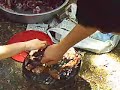 salim halep, e?refoglu, bey?ehir,emekli vedas? salim halep, e?refoglu, bey?ehir,emekli vedas?