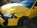 Deers Are Crashing Nice Cars! Deers Are Crashing Nice Cars!