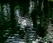 Wakulla Cherokee Sinkhole