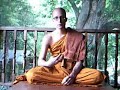 How To Meditate II - Walking