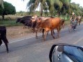 Nicaragua.wmv