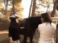 H�pica Seberino - Latrup.tv - MPEG