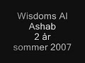 Wisdoms Al Ashab purebred arabian stallion Wisdoms Al Ashab purebred arabian stallion
