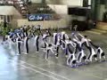 ADDU BSN PEPSQUAD PNSA CHAMPION 2006