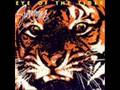 Eye of the tiger