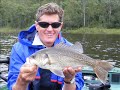 Australian Bass Tour