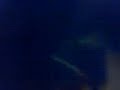 wuaa kali welta loca jaksasajs
tu cuerpo me pertenece .... 1313(8)

mi amor, me encantaria enredarme en tus sabanas..y que teten pida mas mas mas mas mas xd

la weaaaaa
  lo que ahce el vino cabros 
 shau(k)