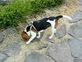 Walking with Anna-Namsan mountain