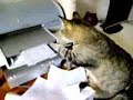 Printer Problems
