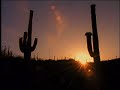 Wild Detectives: Gila Monster