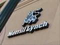 videos de Capitalist Disaster: Citigroup, Merrill Lynch, Lehman, AIG etc...