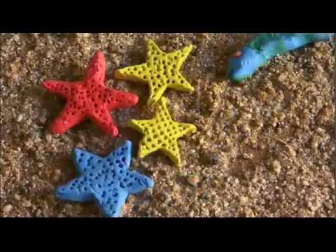 Vedi il video