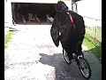 Gorilla Nick on Bike