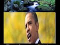 Songs of America Songs of America
