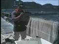 Marine Harvest Canada Sea Lice Management