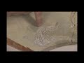 Fossilized Snake with Legs Found.