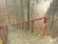 videos de Ski Jump
