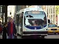 NYCTA / MTA Bus : Designline 