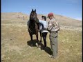 Antelope Island Endurance Ride 2008 -- Great Salt Lake, UT Antelope Island Endurance Ride 2008 -- Great Salt Lake, UT