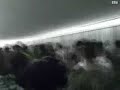erxomaste...panathinakos 5500 fans(gate13) go to the stadium for game with olympiakos in piraeus