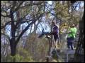 videos de Bridge Swing Picton