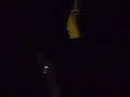 SJEC x Rio Branco 1° Gol [ comemoração ]