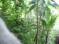 Saint Lucia Zip Line Part 1